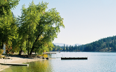 [Several tall trees with leaves most of the way down their trunks hangs over the water's edge near some docks. Some mountains are see on the far shore and in the distance.]